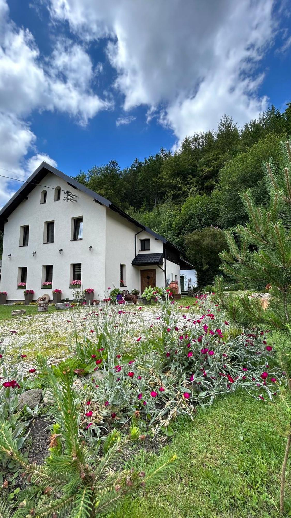 Apartamenty Goszowianka Stronie Slaskie Exterior foto